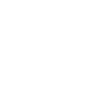 LOGO BLOOLE