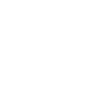 LOGO BOSCH